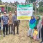 Dukung Pengembangan Komoditi, Bank Indonesia Sultra Sambangi Lahan Perkebunan P2L Warga Konut