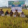 Kementan Dorong Petani Pangkep Tingkatkan Produktivitas CSA yang Ramah Lingkungan