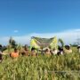 Inovasi Agrikultur, Teknologi CSA Kementan Solusi Peningkatan Produktivitas Petani Di Deli Serdang