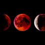 Gerhana Bulan Total Pada Perubahan Sikap Hewan