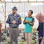 Smart Farming dan Green House