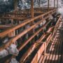 Ternak Kambing