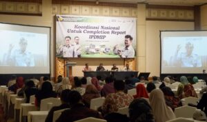 Program IPDMIP
