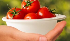 Benih Tanaman Ini Bisa Didapat dari Sayur dan Buah yang Kamu Konsumsi Sehari-hari