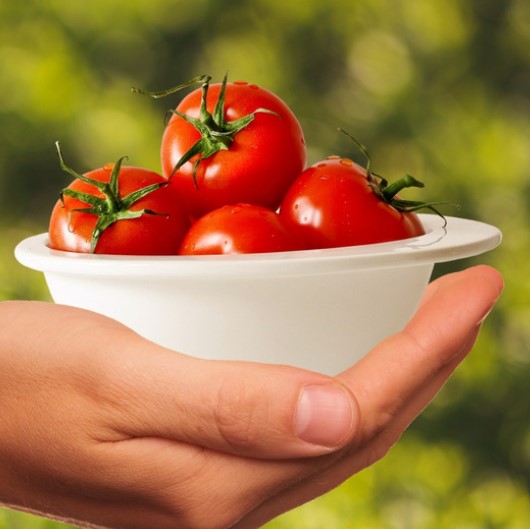 Benih Tanaman Ini Bisa Didapat dari Sayur dan Buah yang Kamu Konsumsi Sehari-hari