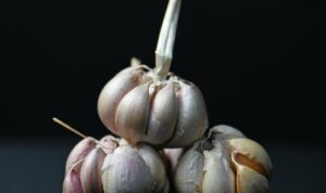 Cara Menanam Bawang Putih di Rumah