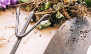 Manfaat Berkebun Selama Bulan Ramadhan