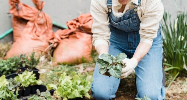 Tips berkebun saat bulan Ramadhan