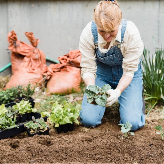 Tips berkebun saat bulan Ramadhan