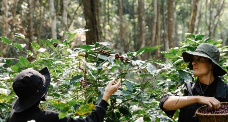 Peran Petani Muda dalam Keberlanjutan di Dunia Pertanian