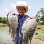 Tips Memulai Bisnis Ikan Air Tawar bagi Pemula