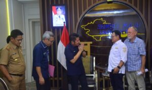 Pangan Nasional