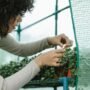 Buat kamu lulusan jurusan pertanian terutama Agribisnis, wajib tahu apa saja prospek kerja jurusan pertanian agribisnis yang bisa diambil.
