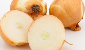 Cara Mudah Menanam Bawang Bombay di Rumah!!