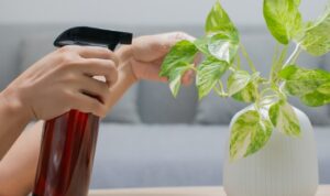 Cara membuat pupuk organik cair adalah solusi praktis dan ramah lingkungan untuk menyuburkan tanaman dengan menggunakan bahan-bahan alami.