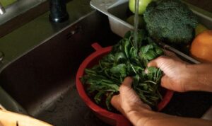 Belum banyak yang tahu, ternyata air rebusan sayuran menjadi pupuk alami untuk tanaman yang ramah lingkungan dan juga murah.