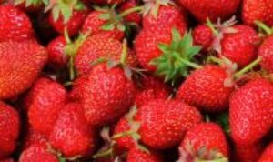 Sebaiknya lakukan proses dried strawberry, sebelum strawberry membusuk. Mudah, bisa sebagai ide bisnis online rumahan.