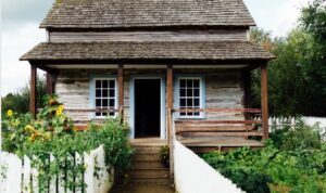 Beberapa tanaman yang dilarang dan sebaiknya hindari ditanam di depan rumah menurut Feng Shui.