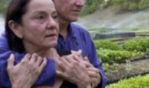 Sebastiao Salgado dan Istrinya viral di tahun 2019, lantaran usaha mereka menumbuhkan 2 juta pohon, berhasil. Simak cerita lengkapnya disini.