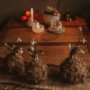 Kokedama adalah seni menanam tanaman hias gantung dari Jepang. Metode ini melibatkan menanam tanaman kecil dalam bola tanah yang dibentuk.