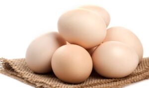 Mengenal Keuntungan Ternak Ayam Petelur: Pasokan Telur Berkualitas dan Potensi Bisnis yang Menjanjikan