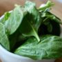 Tips Menanam Bayam di Rumah dengan Mudah
