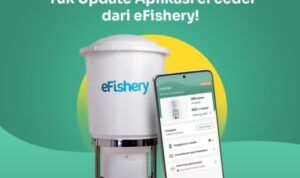 eFishery: Startup yang Inovatif dan Unik di Indonesia