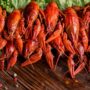Keuntungan Budidaya Lobster: Peluang Bisnis yang Menguntungkan