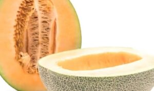Tips Menanam Buah Melon Agar Hasilnya Berkualitas