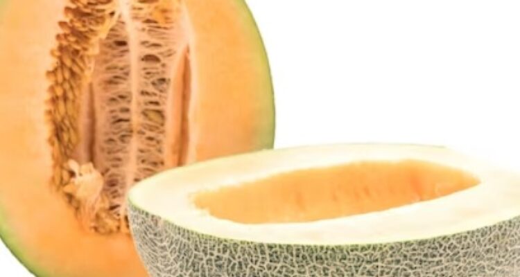 Tips Menanam Buah Melon Agar Hasilnya Berkualitas