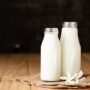Tips dan Cara Meningkatkan Produksi Susu Berkualitas pada Peternakan Sapi Perah