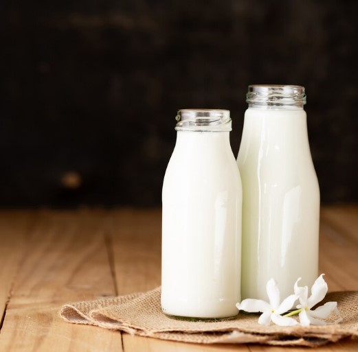 Tips dan Cara Meningkatkan Produksi Susu Berkualitas pada Peternakan Sapi Perah