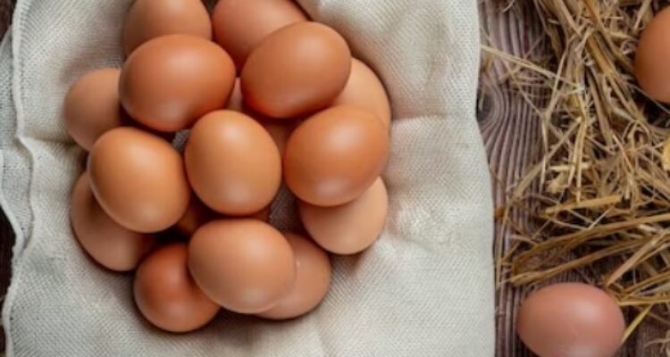 Strategi Sukses Peternak Ayam Petelur untuk Meningkatkan Produksi Telur Berkualitas