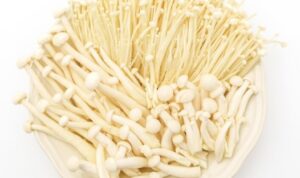 Tips Menanam Jamur Enoki di Rumah dengan Mudah