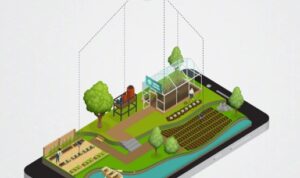 Habibi Garden, Startup Agritech Indonesia yang Menggunakan IoT untuk Perawatan Tanaman