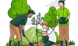 Apa itu Eco Farming? Berikut Penjelasannya