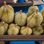 5 Jenis Buah Durian yang Banyak Ditanam di Indonesia