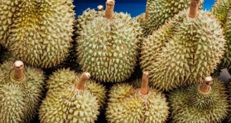 5 Jenis Buah Durian yang Banyak Ditanam di Indonesia