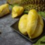 Tips dan Cara Agar Hasil Panen Buah Durian Jadi Manis dan Berkualitas