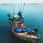 Illegal Fishing Marak di Indonesia, Pemerintah Diminta Bertindak