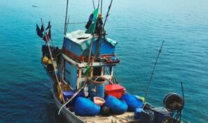Illegal Fishing Marak di Indonesia, Pemerintah Diminta Bertindak