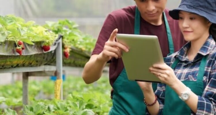 Digital Farming Perkebunan: Manfaat dan Tantangan