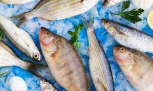 Peningkatan Kualitas dan Produksitivitas Ikan: Keuntungan Menggunakan EM4 dalam Perikanan