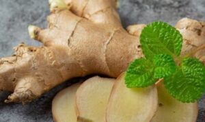 5 Tanaman Obat yang Dapat Ditanam di Rumah