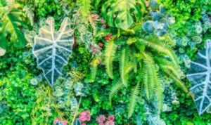 Pemanfaatan Tanaman Sukulen untuk Vertical Garden