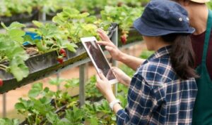Apa itu Teknologi Smart Farming? Istilah Pertanian untuk Masa Depan