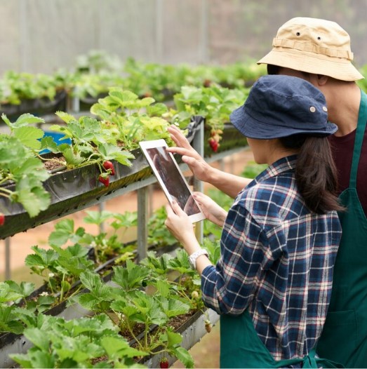 Apa Itu Teknologi Smart Farming Mari Simak Penjelasannya