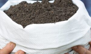 Ciptakan Nutrisi Alami untuk Tanaman: Cara Mudah Membuat Pupuk Organik Sendiri