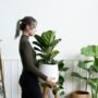 5 Tanaman Hias yang Cocok untuk Pemula: Menghijaukan Rumah dengan Mudah