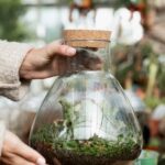 Ciptakan Hutan Mini di Rumah: Membuat Terrarium yang Menyegarkan Mata